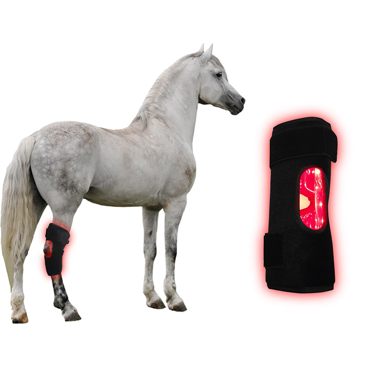 FSDLJSP red light therapy wrap for horses left hind knee with 660-850nm for recovery
