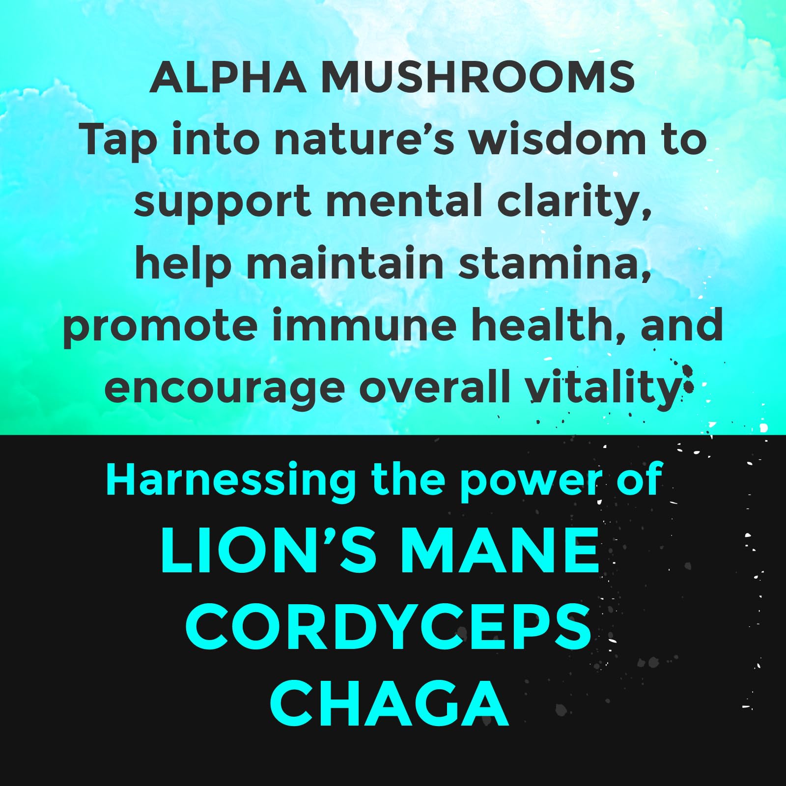 Fully Loaded Alpha Mushroom pouch pack displays compact, discreet usage in daily routine