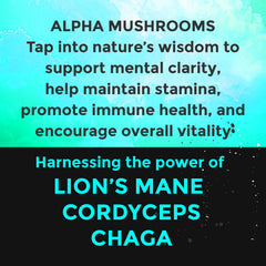 Fully Loaded Alpha Mushroom pouch pack displays compact, discreet usage in daily routine