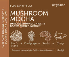Fun Earth Mushroom Mocha close-up shows cacao and vanilla specks