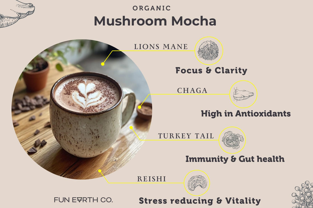Fun Earth Mushroom Mocha with four mushroom ingredients shown together
