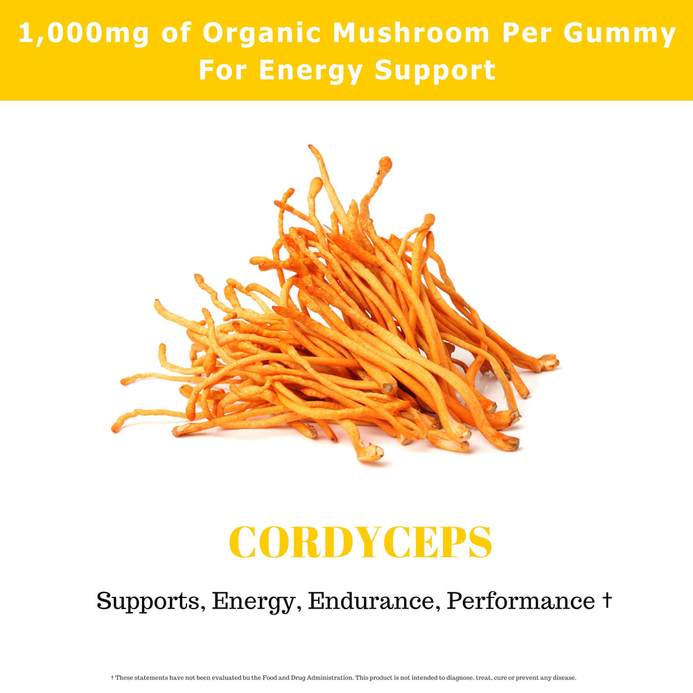 Fundamental Fungi Cordyceps gummies label-detail communicates USDA Organic quality and vegan-friendly formula.