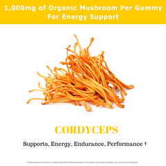 Fundamental Fungi Cordyceps gummies label-detail communicates USDA Organic quality and vegan-friendly formula.