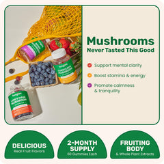Fungies Reishi gummy bottle promotes calm evenings
