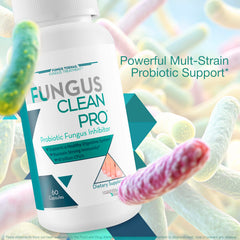Ingredients chart highlights 11 strains and prebiotics in a single capsule.