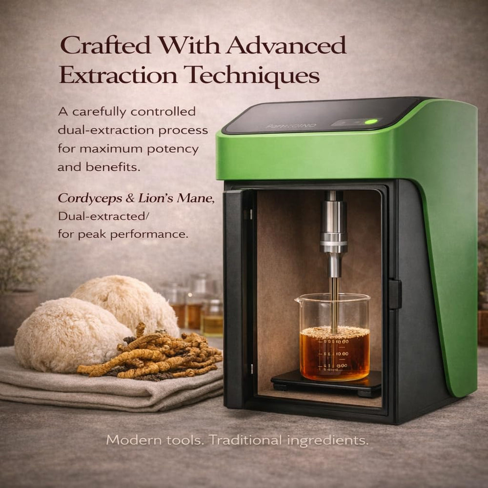 FUNGISIP Momentum liquid extract bottle on a desk suggests focused work sessions.
