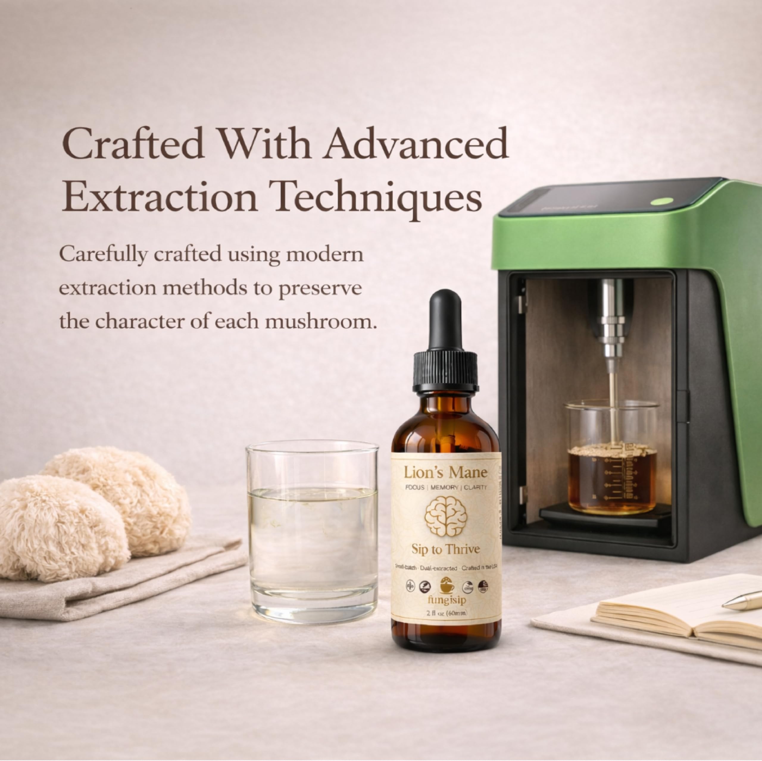 FUNGISIP small-batch production scene emphasizes careful extraction methods.