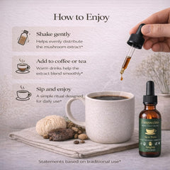 FUNGISIP Fungoccino Chaga roots emphasize natural antioxidants