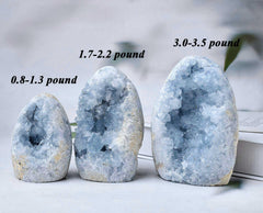 FZBHRO blue celestite cluster displayed on shelf with soft light