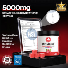 GABE SUNNYBEARS Creatine Gummies raspberry gummies close-up for easy daily use.