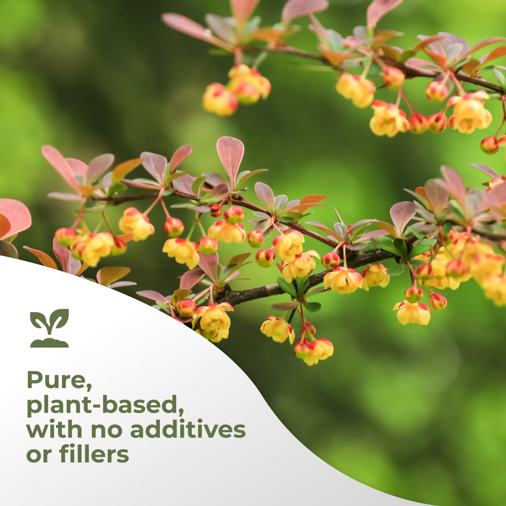 GADE Berberine HCl powder mixed in water for easy consumption