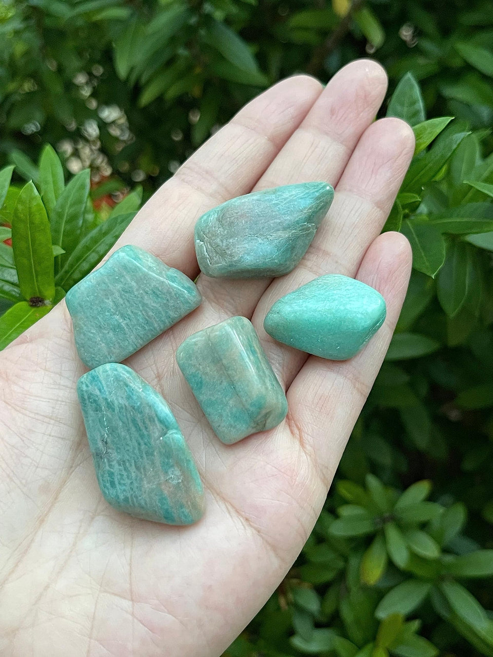 GAF Treasures amazonite tumbled stones grid therapy and energy balancing setups.