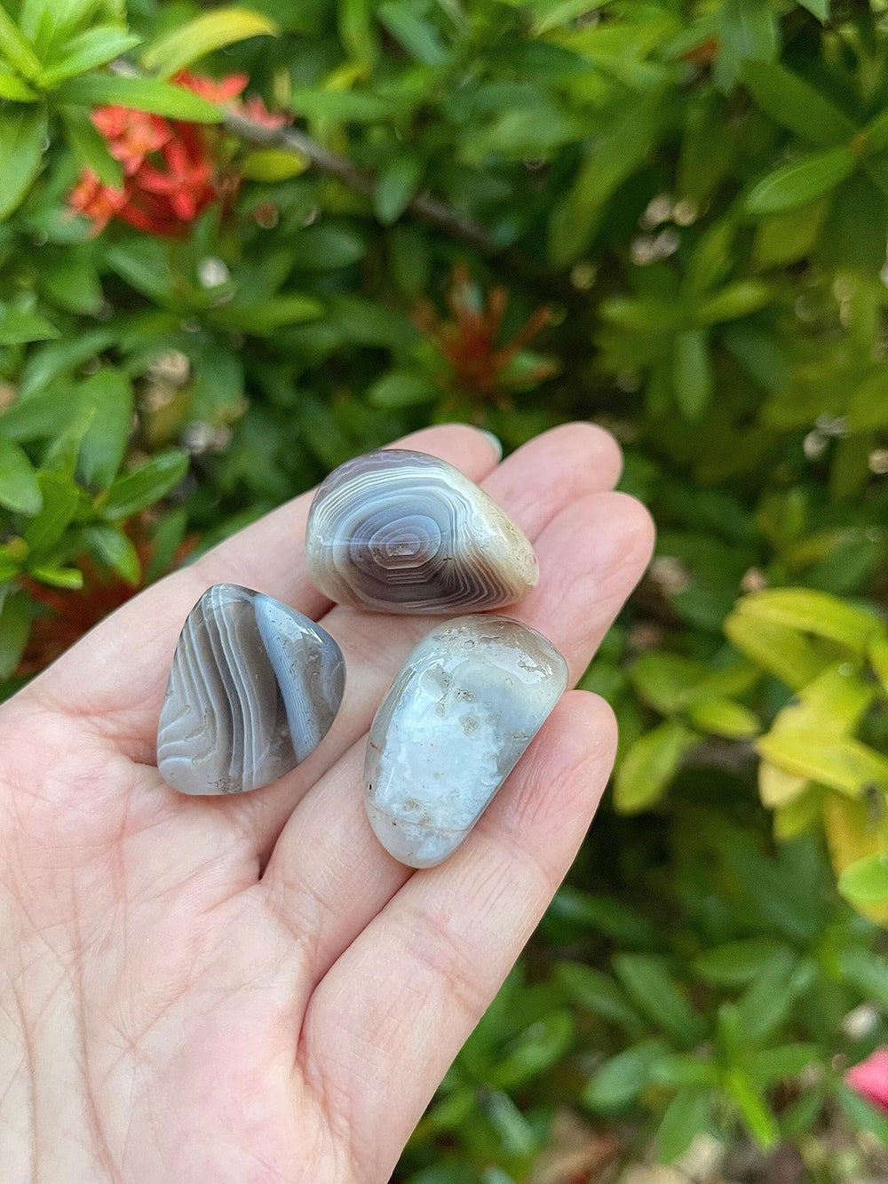 GAF Treasures Botswana Agate pocket stones for calm focus and personal rituals