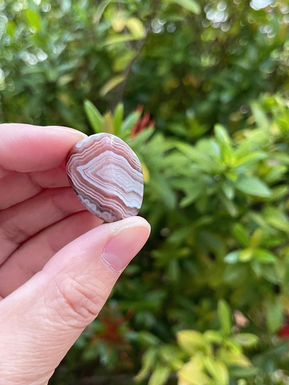 GAF Treasures Botswana Agate bundle of stones for crystal grids and therapy sessions