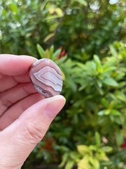 GAF Treasures Botswana Agate bundle of stones for crystal grids and therapy sessions