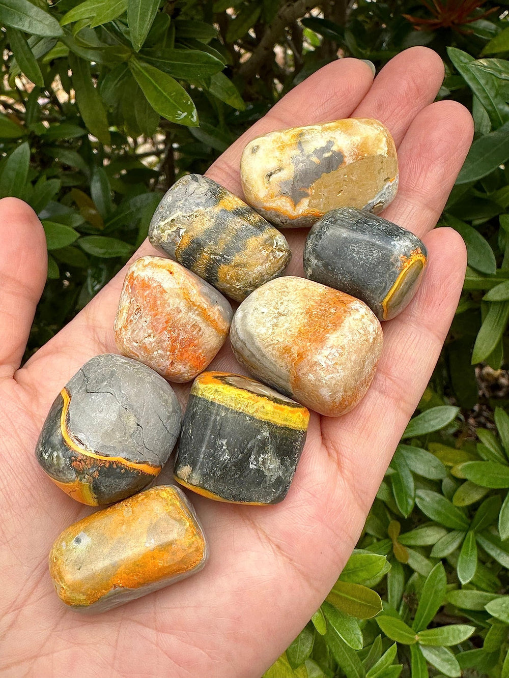 GAF TREASURES Bumble Bee Jasper polished gemstone for everyday carry and focus.