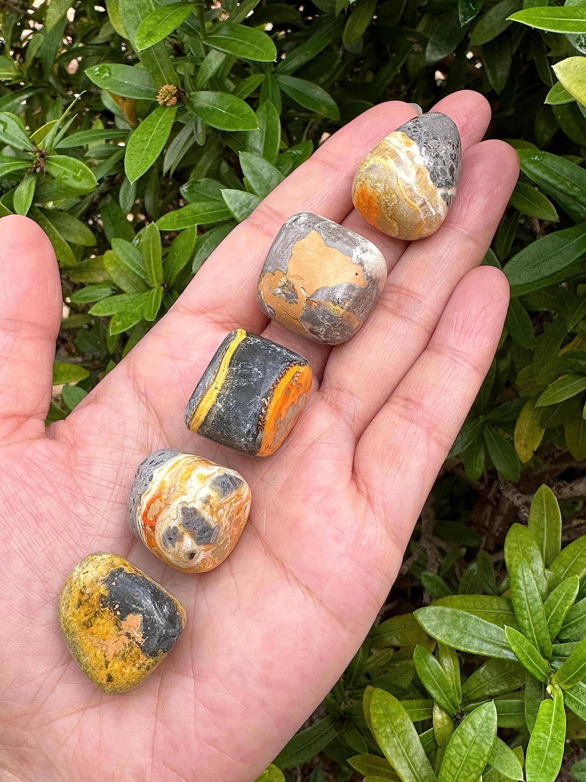 GAF TREASURES Bumble Bee Jasper stones per pound vary by batch for customization.