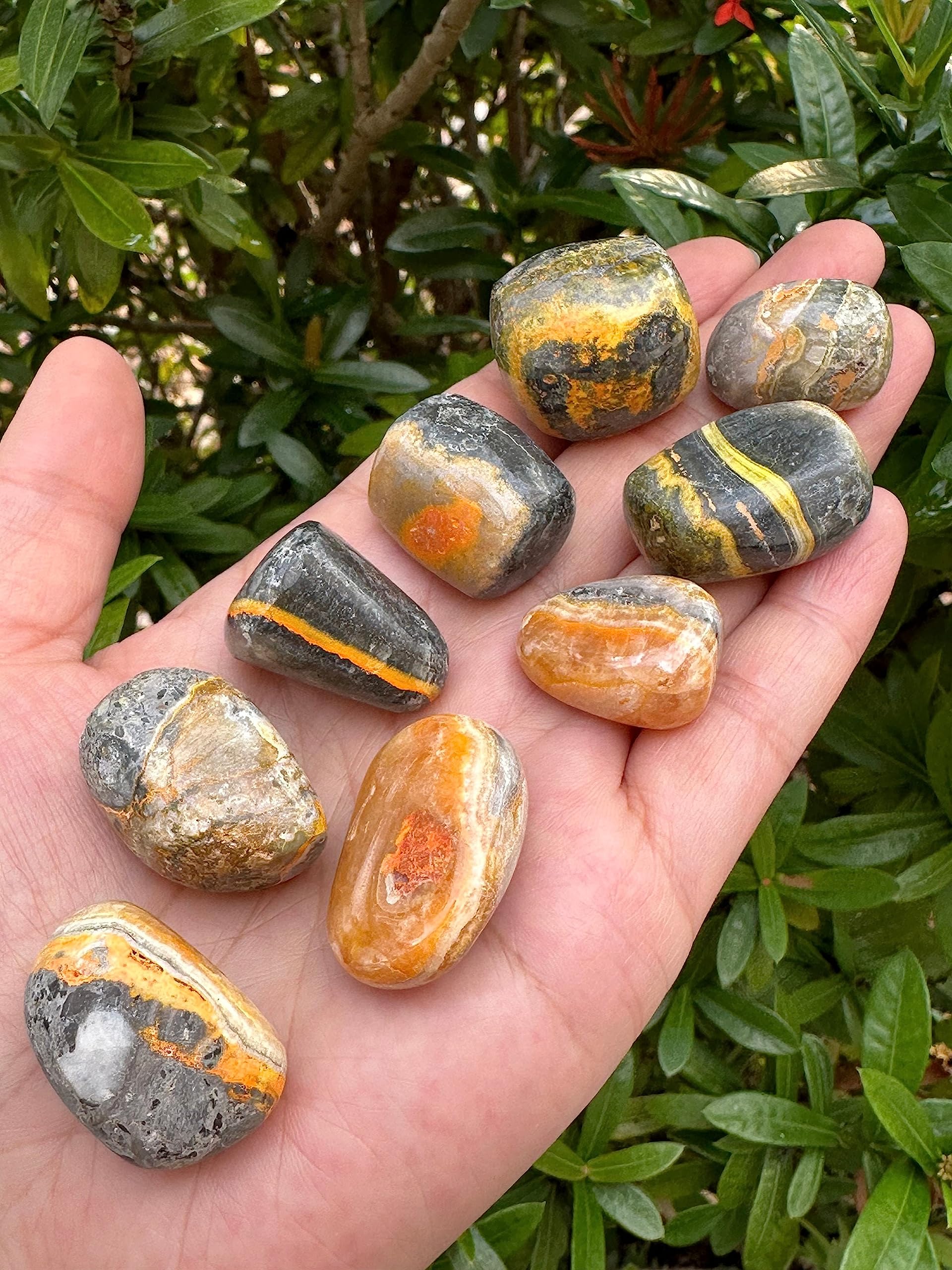 GAF Treasures Bumble Bee Jasper natural variations add visual interest to displays