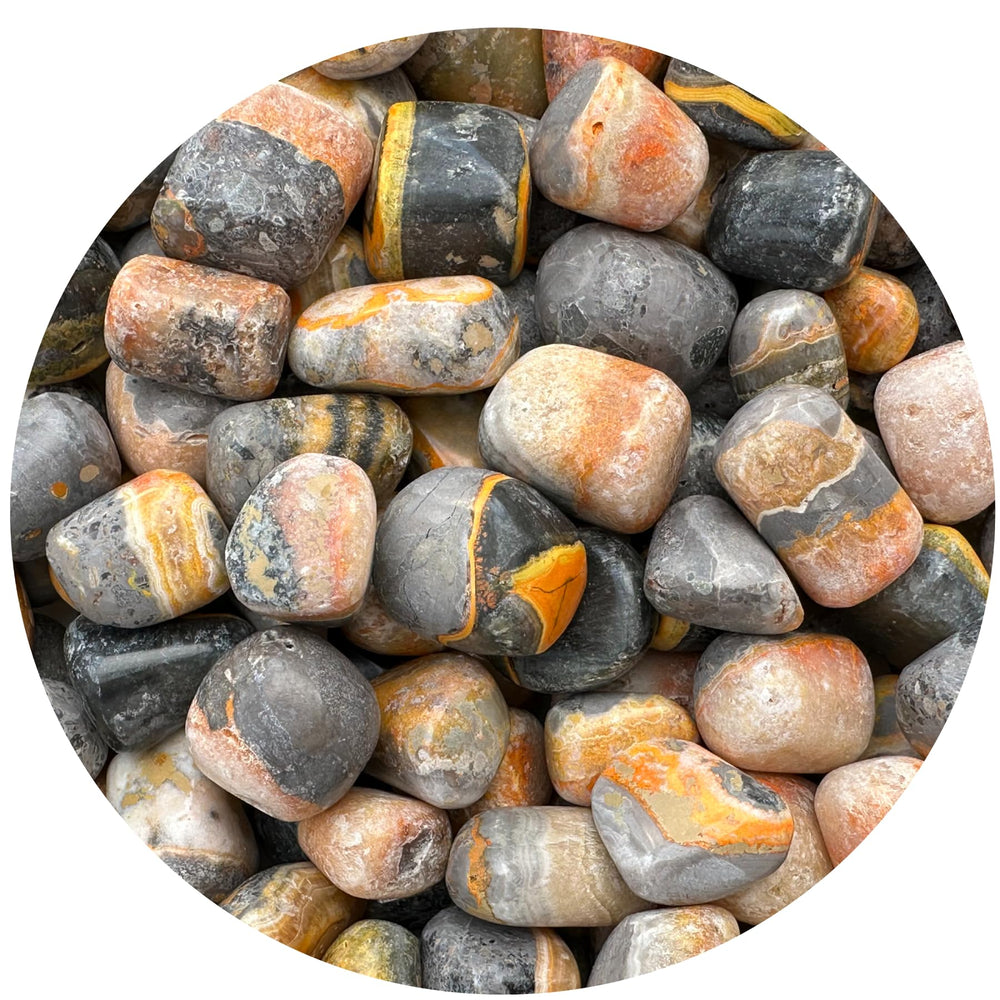GAF TREASURES Bumble Bee Jasper tumbled stones for meditation and energy alignment.