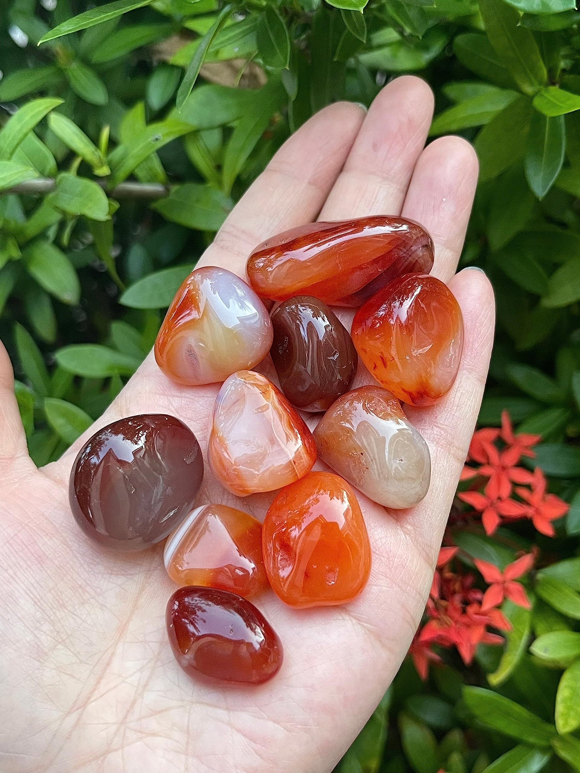 GAF TREASURES Carnelian tumbled stones grid-work layout suggesting energy potential