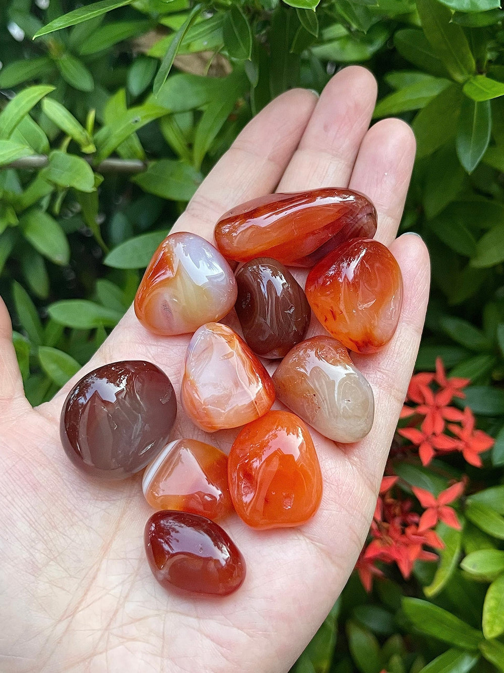 GAF TREASURES Carnelian tumbled stones grid-work layout suggesting energy potential