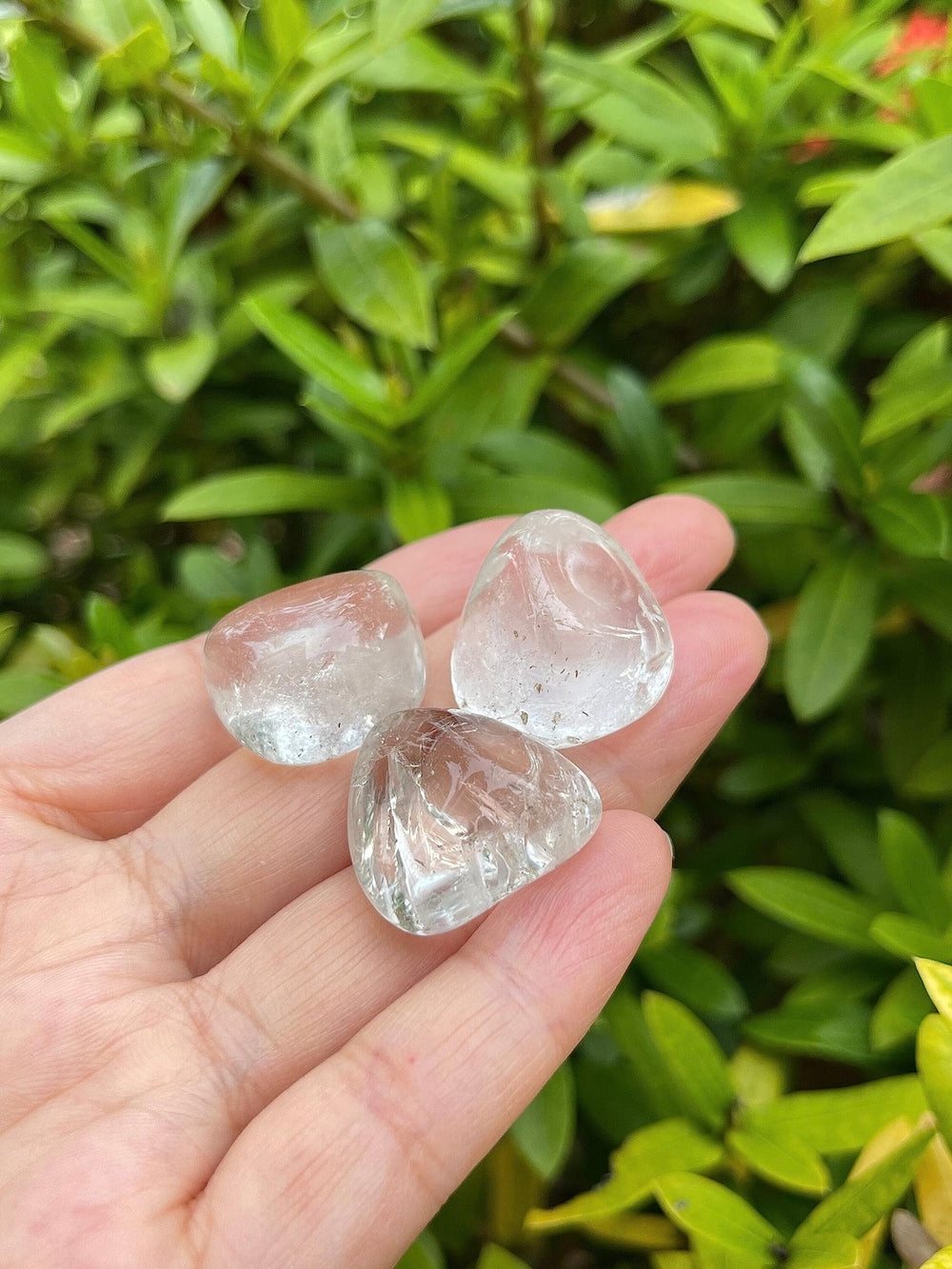 GAF TREASURES clear quartz stones for grid work – versatile energy practice.