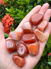 GAF Treasures Fire Agate color variations highlight natural beauty and patterns.