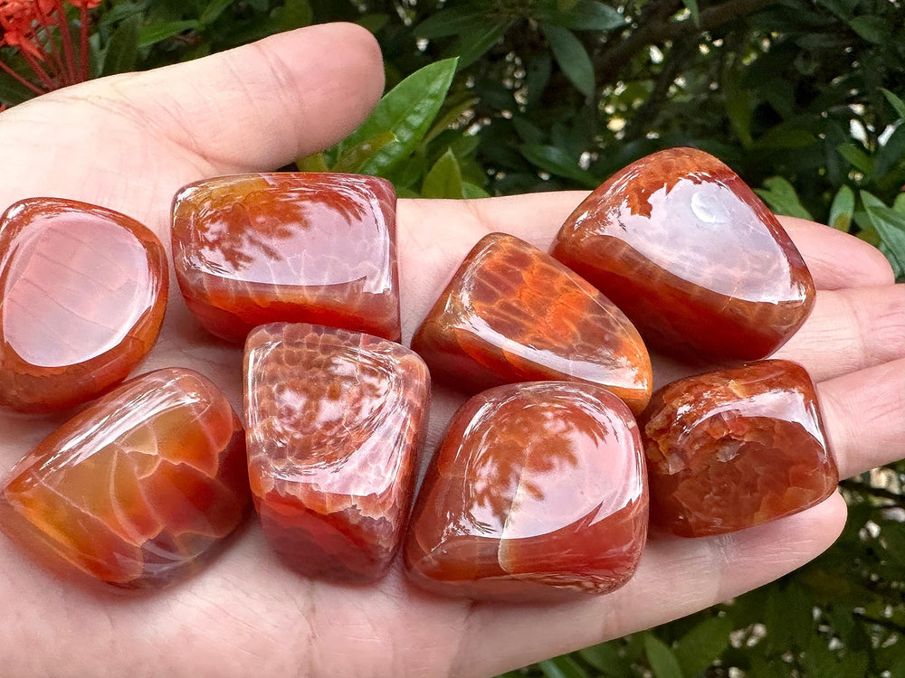 GAF Treasures Fire Agate per-pound stones offer bulk value for buyers.