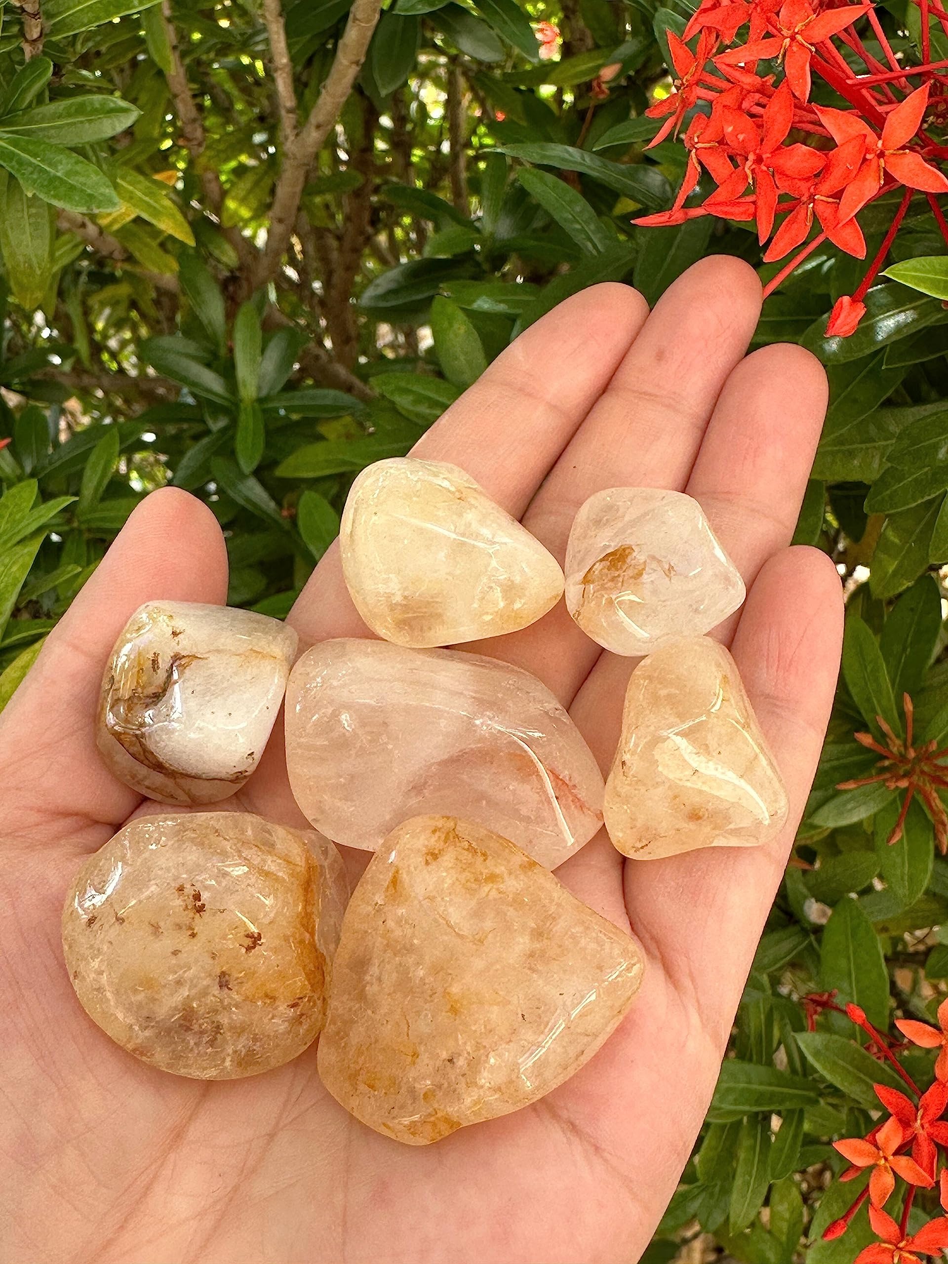 GAF TREASURES Golden Healer Quartz light play highlights warm hues for uplifting vibes