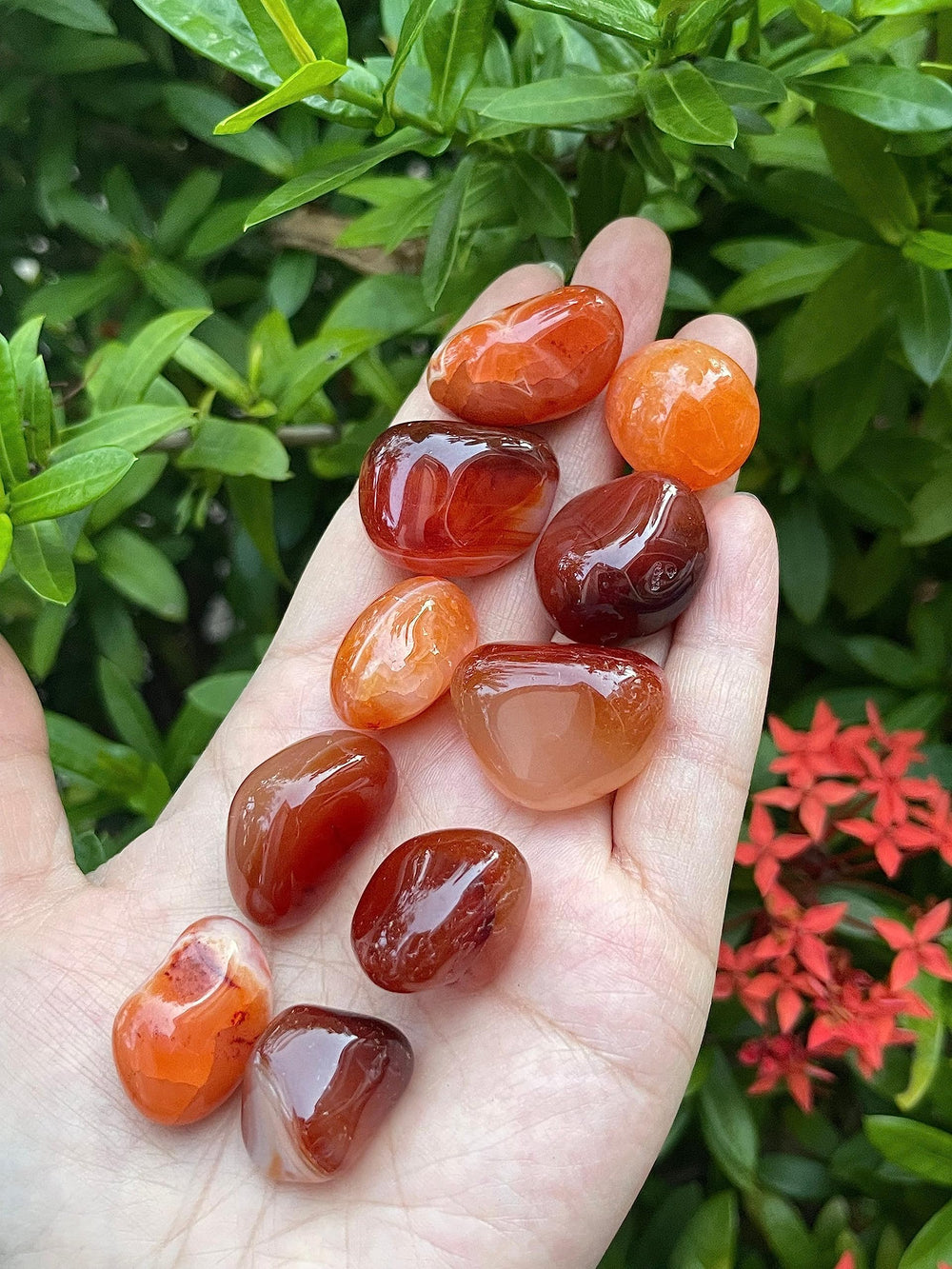 GAF TREASURES Grade A carnelian shining with bold energy and leadership vibes