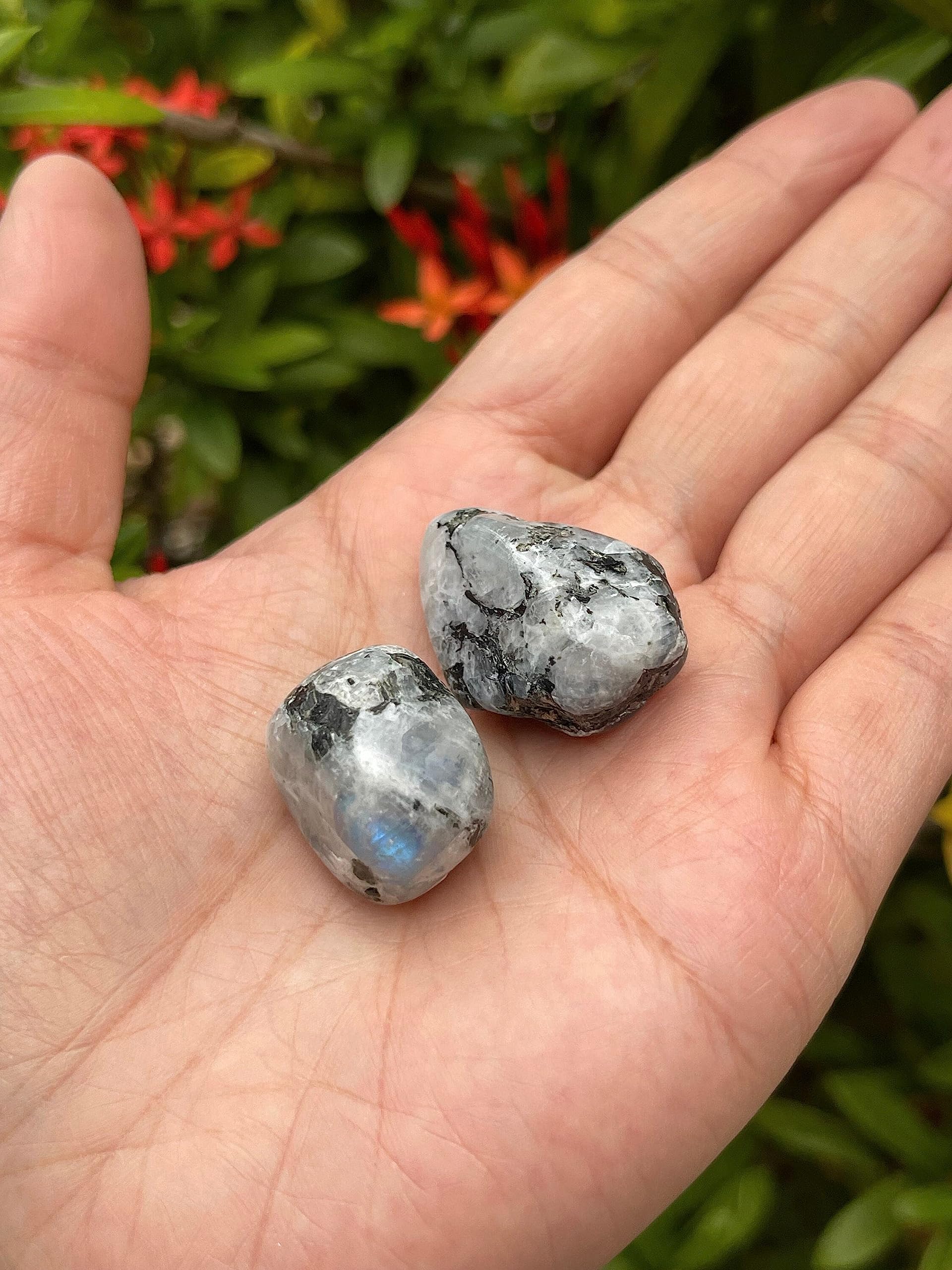 GAF Treasures Rainbow Moonstone stones, Grade A quality and luminous sparkle.
