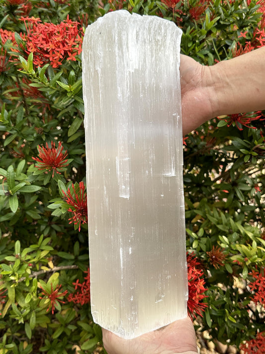 GAF Treasures Jumbo Selenite log 12-16 inches glistening in light for a centerpiece decor