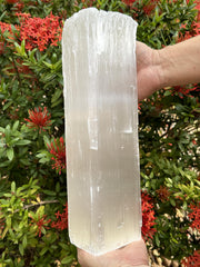GAF Treasures Jumbo Selenite log 12-16 inches glistening in light for a centerpiece decor