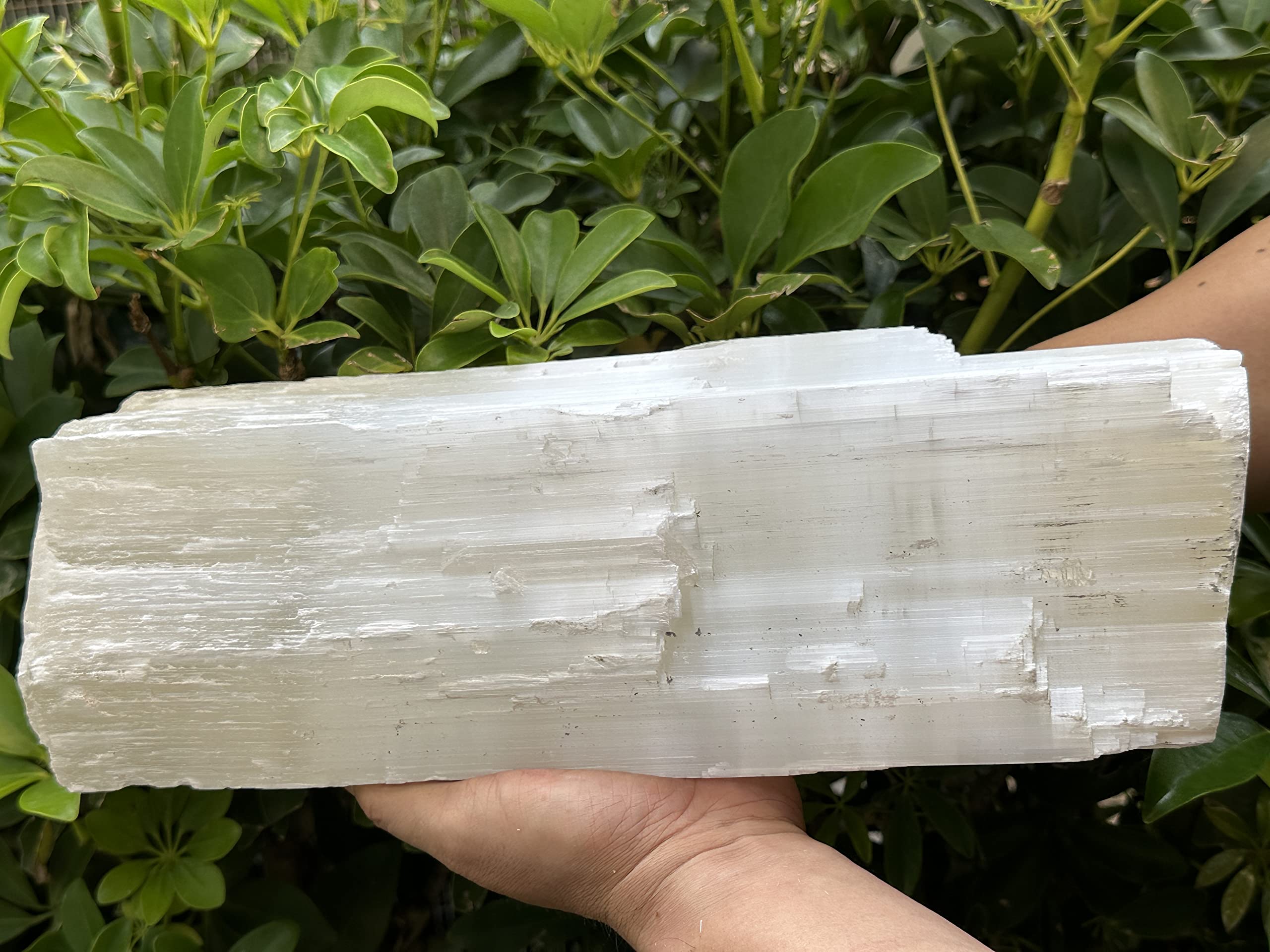 GAF TREASURES jumbo selenite log catches light beautifully