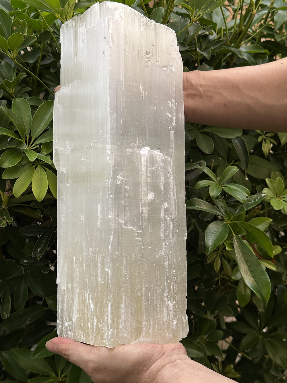 GAF TREASURES jumbo selenite log on mantel adds ambient glow