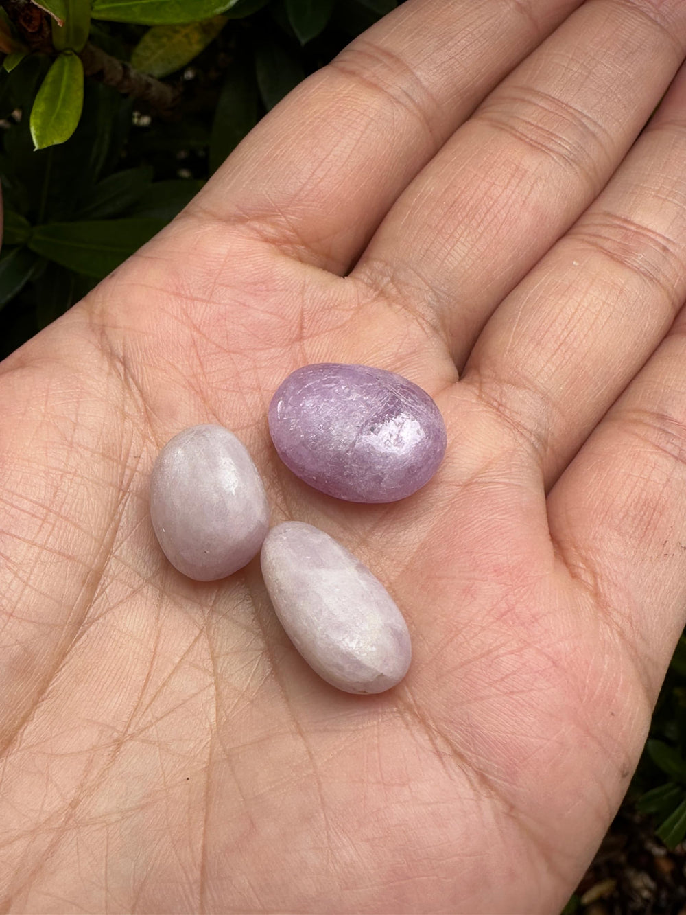 GAF TREASURES Kunzite heart-energy grid stones for grid work.