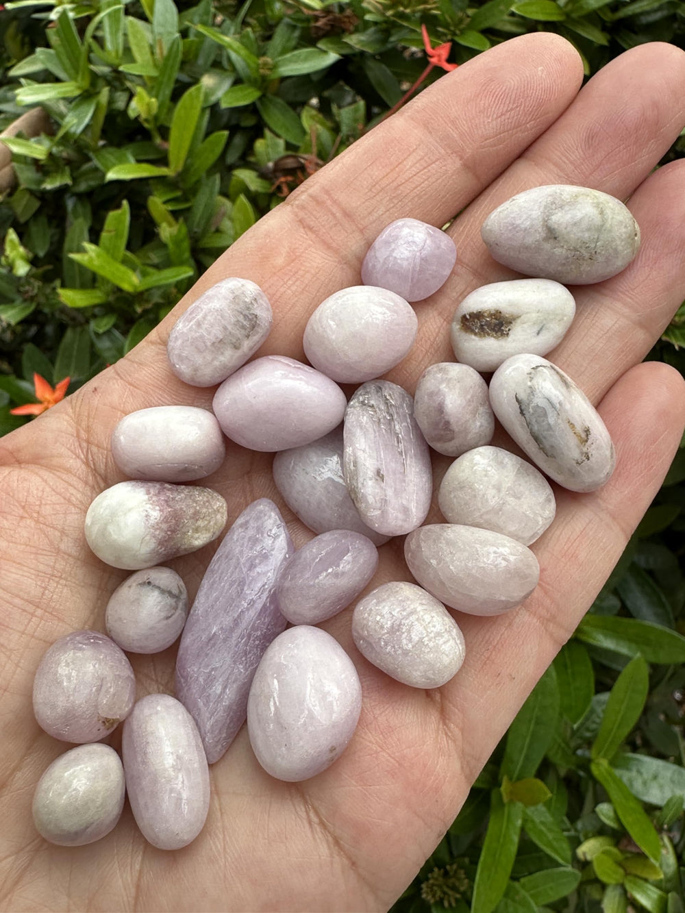 GAF TREASURES Kunzite meditation grid stones arranged for focused, tranquil sessions