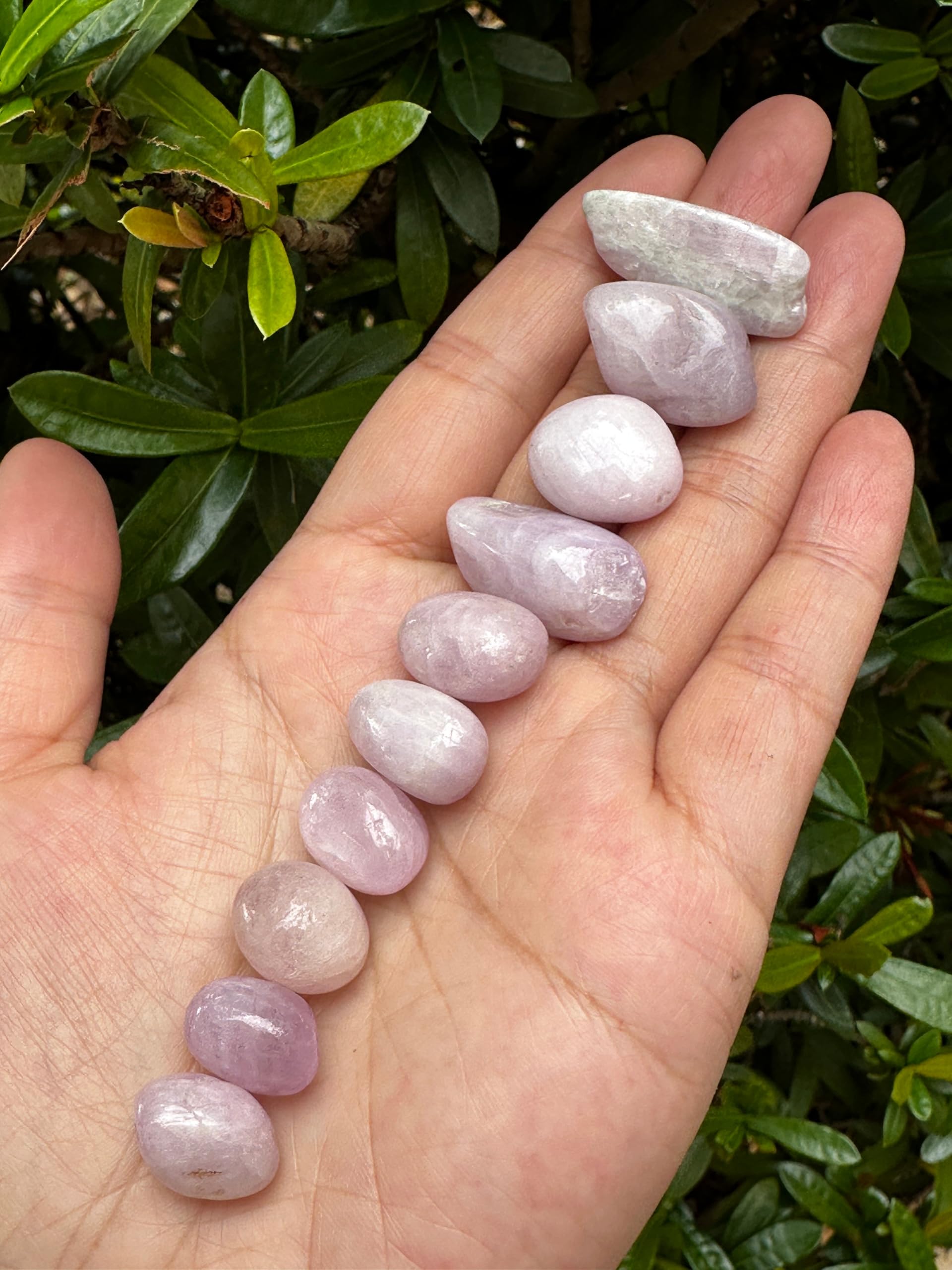 GAF TREASURES Kunzite polished rocks close-up showing gentle hues for grids.