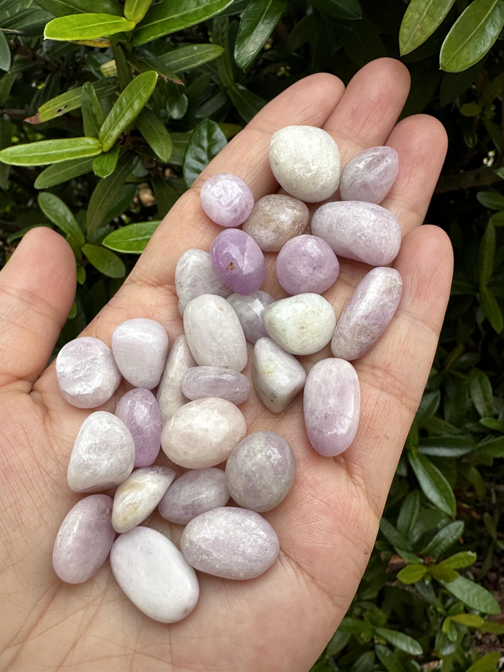 GAF TREASURES Kunzite stones in a basket display natural variety