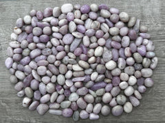 GAF TREASURES Kunzite half-pound tumbled stones for calming energy and mindful practice
