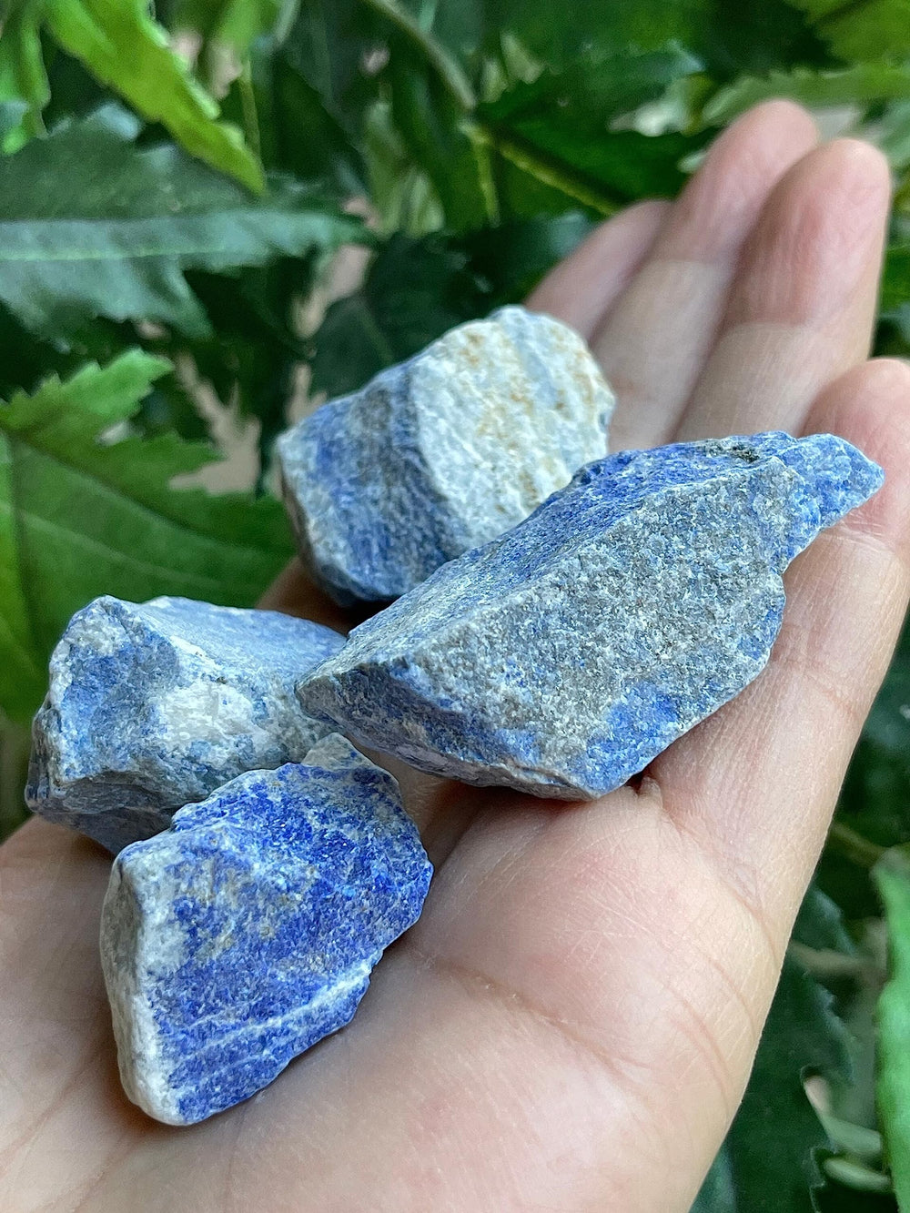 GAF Treasures lapis lazuli rough stones vary in size and color, adding natural charm.