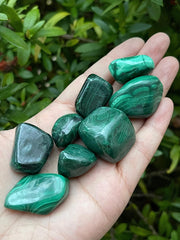 GAF TREASURES malachite with natural patterns for display and collection