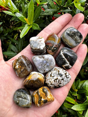 GAF TREASURES Ocean Jasper Grade A quality stones with rich color and texture.