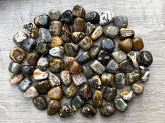 GAF TREASURES Ocean Jasper polished rocks showcasing natural patterns for display.
