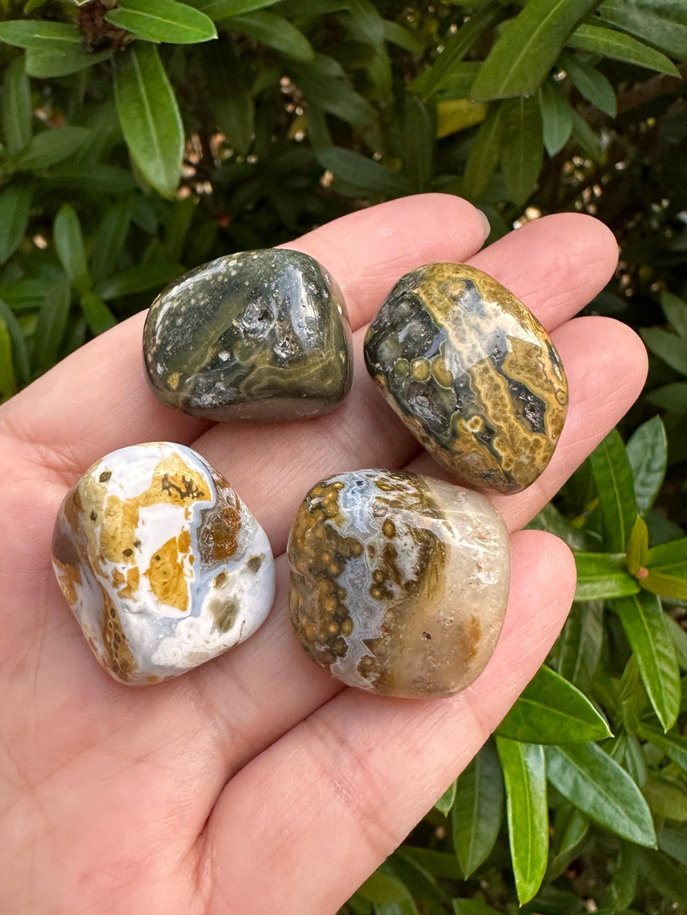 GAF TREASURES Ocean Jasper suitable for reiki, meditation, or energy routines.