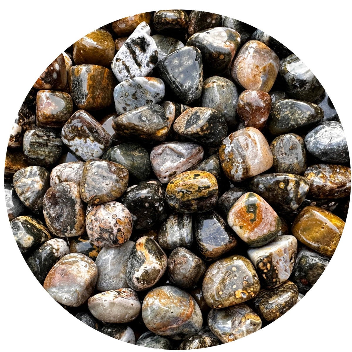 GAF TREASURES Ocean Jasper tumbled stones for mindful collection and on-the-go calm.
