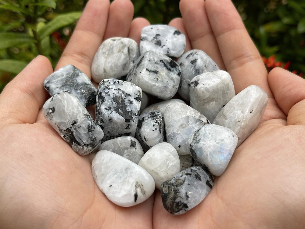 GAF Treasures Rainbow Moonstone displays natural variation in color and shape.