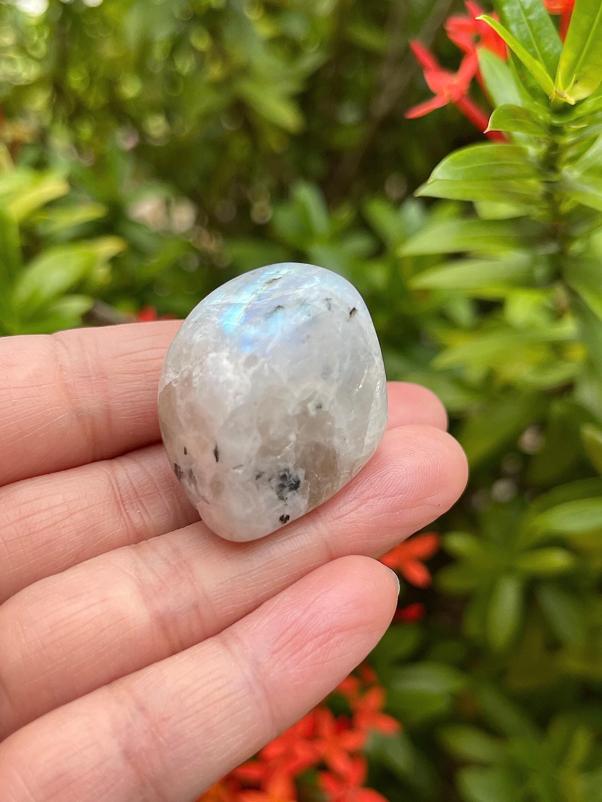 GAF Treasures Rainbow Moonstone polished rocks for focused visualization.