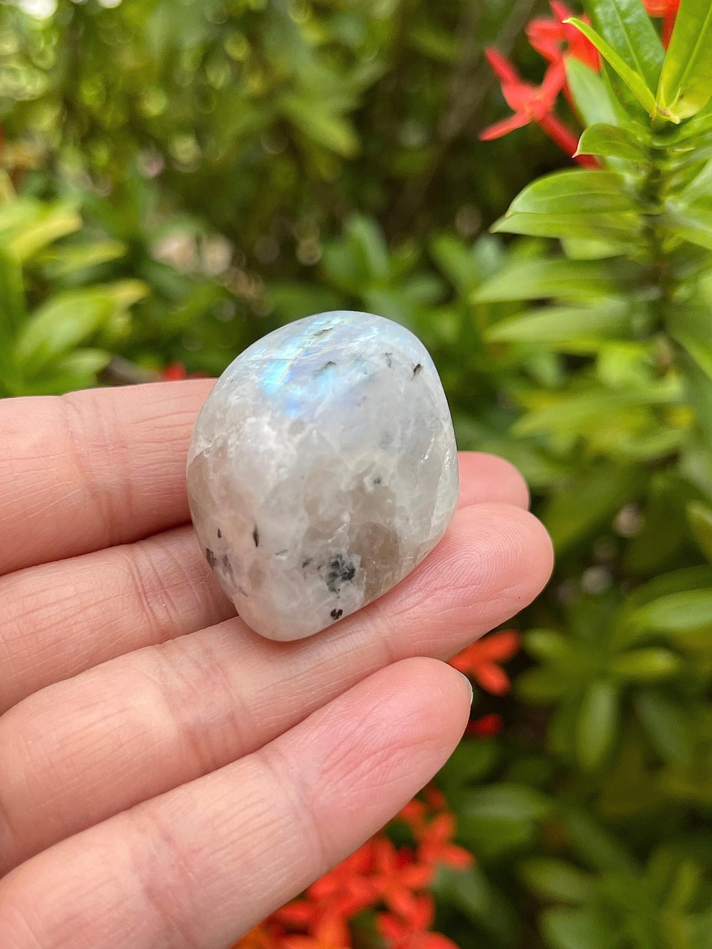 GAF Treasures Rainbow Moonstone polished rocks for focused visualization.