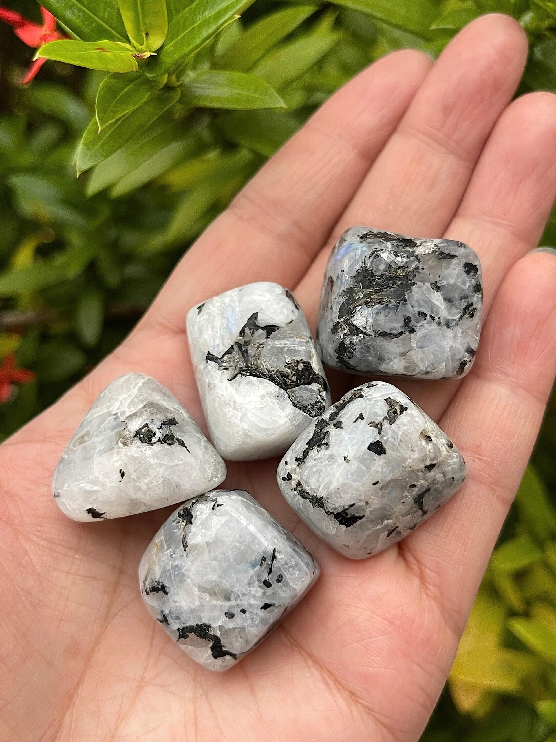 GAF Treasures Rainbow Moonstone stones ideal for Reiki and energy work.